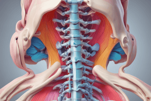 Intervertebral Disk Function and Stability Quiz