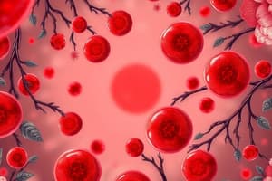 Hematopoiesis and Erythropoiesis Quiz