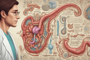 Patología Digestiva: Colelitiasis y Enfermedades Relacionadas