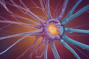 Cytoskeleton