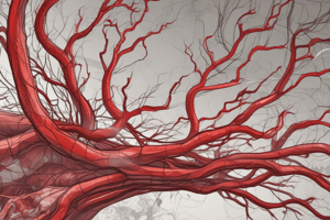 Lecture 1.2a - Blood vessel types and characteristics