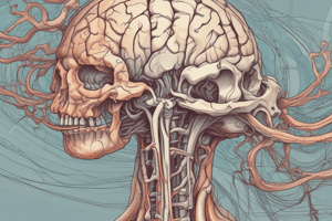 Cerebrospinal Fluid Flow and Dural Venous Sinuses