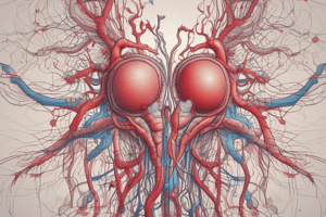 Biology: Circulatory System