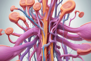 Renal Tubules and Interstitium Disorders Quiz