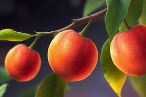 Fruit Ripening, Senescence, and Abscission L8.5
