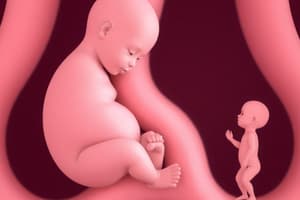 Prenatal Development and Infancy