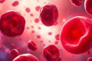 Introduction to Anemia