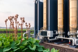 Mammoth Carbon Capture Plant Quiz