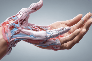 Hand and Wrist Patient Intake and Examination