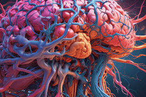 Neuroanatomy Part 1 Learning Outcomes