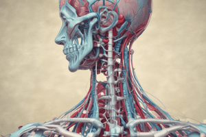 Effects of Thiopental and Propofol in Spinal Cord Injury Studies