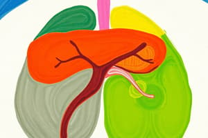 Endocrine vs Exocrine Glands Quiz