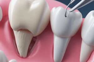 Sturdevant 6th Edition Chapter 5 Tooth Preparation Quiz