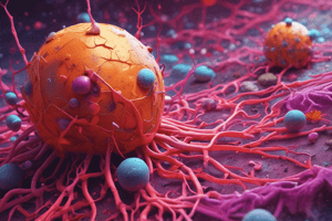 Cell Death Pathways in Cytosol: Apoptosis vs Necrosis