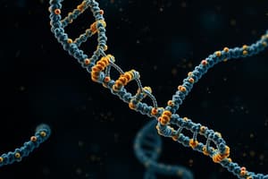 DNA Structure and Discoveries