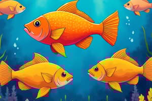 Cara Aklimatisasi Ikan yang Tepat