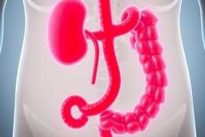 Renal and GI Function Quiz