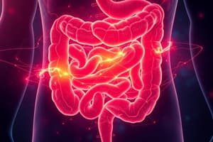 Irritable Bowel Syndrome (IBS)