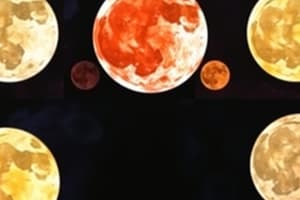 Moon Facts and Phases Quiz