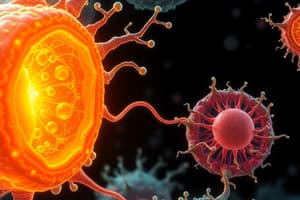 Biology Chapter 5: Cell Size and Evolution