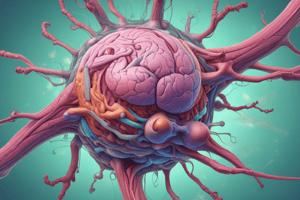 Lymphoid System 1