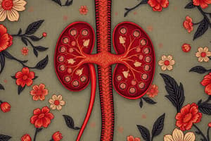 Kidney Function & Glomerular Filtration Practice Quiz