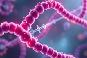 Transcription et Modifications Post-Transcriptionnelles