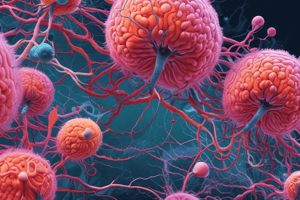 CNS Cell Types in Neuroscience: Haines Chapter 2 Quiz