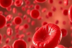 Red Blood Cells: Erythropoiesis Stages