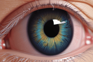 Corneal Edema Causes and Effects