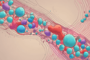 Tema 4 Bioenergètica