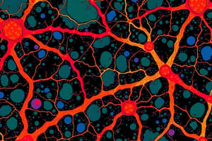 Cell Junctions and Extracellular Matrix Quiz