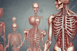  Organisation and Structure of the Human Body