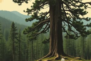 Hemlock Tree Home on a Mountain