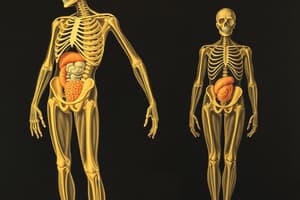 Human Body Organ Systems Overview