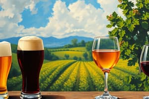 Beer and Wine Production Overview