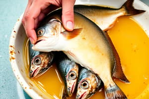 Fresh Fish Handling Methods