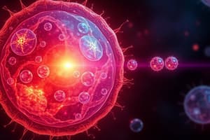 Cell Division and Mitosis Overview