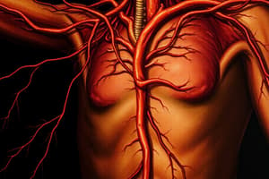 Circulatory System Overview