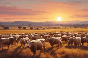 Australian Livestock Farming Quiz