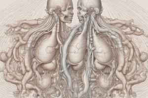 Respiratory System: Gas Exchange and Partial Pressure