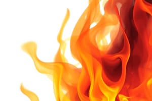 Fire Protection and Prevention Basics