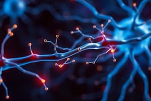 The Nervous System Part 2: Nerve Impulses