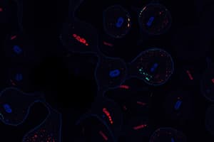 Biology Chapter 12: Eukaryotic Chromosomes