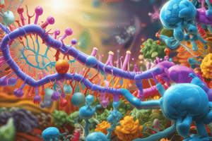 tRNA and Protein Synthesis Recap Lecture Quiz