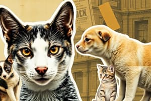 Animais de Estimação - Quiz