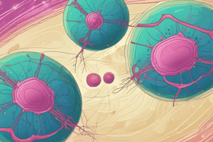 Biology Chapter 11: Cell Growth and Division