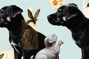 Dog Behavior: Neonatal Period (Birth to 14 Days)