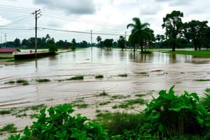 Processes and Impacts of Natural Hazards