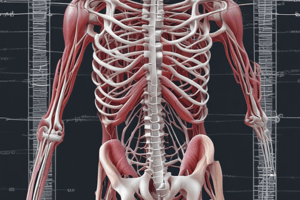 Control of Skeletal Muscle Activity: Motor Nerves and Motor Unit